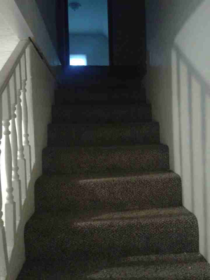 213 Lafayette St #4 - Photo 7 of 9