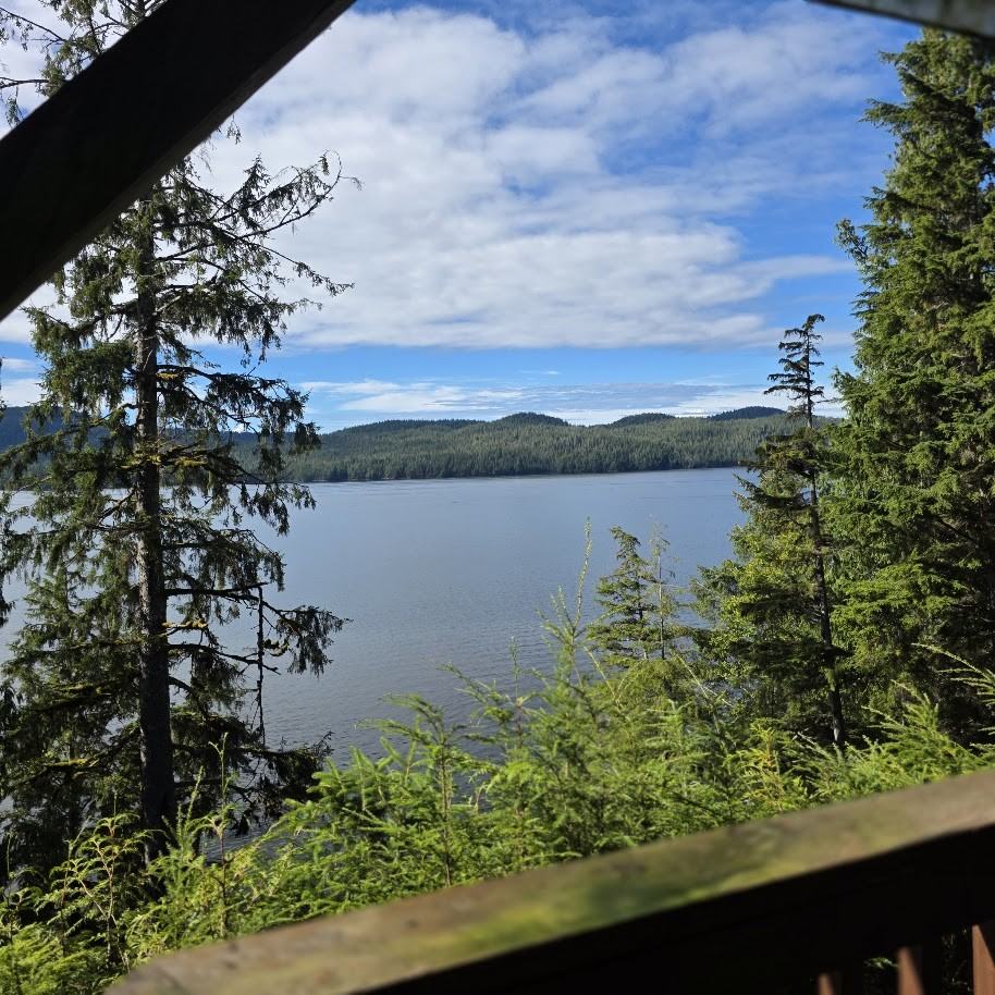 16781 N Tongass Hwy #MAIN - Photo 2 of 49