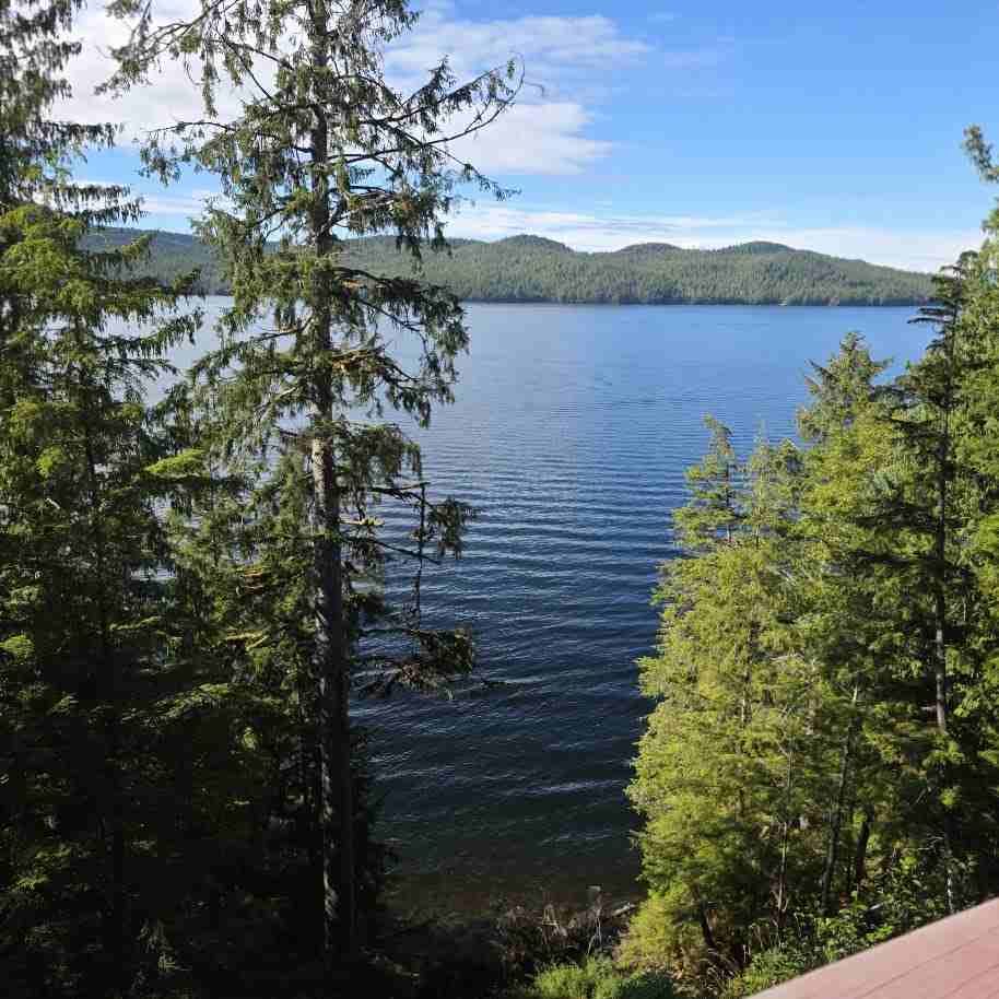 16781 N Tongass Hwy #MAIN - Photo 7 of 49
