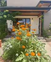 featured image of 849 Don Diego Ave #NA