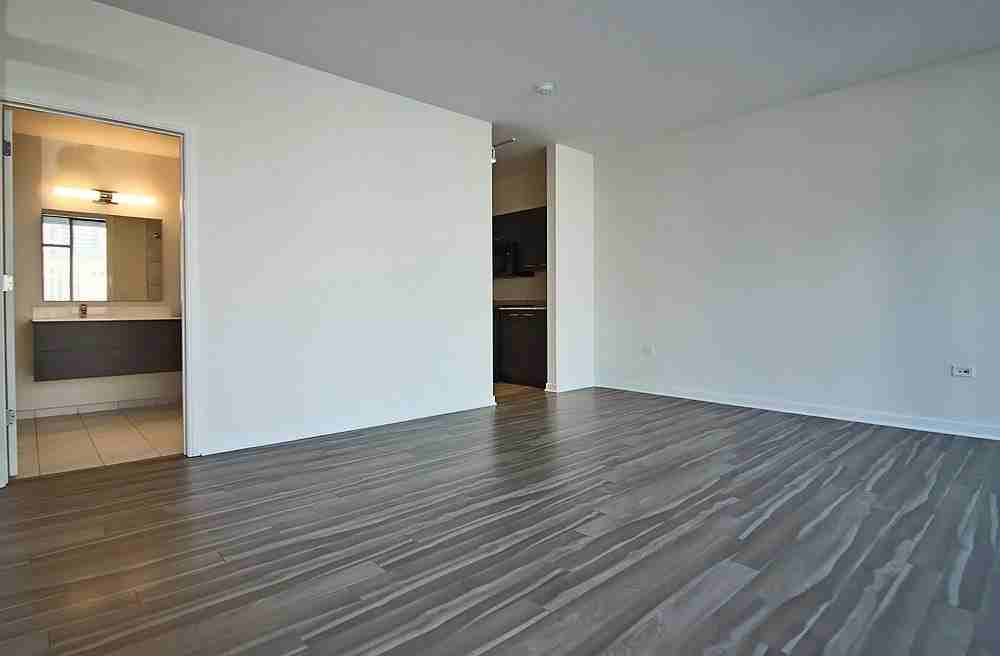 796 N La Salle Dr - Photo 3 of 11