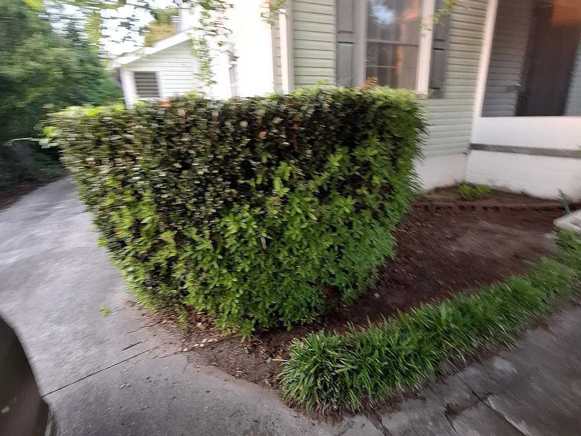 933 Ponce De Leon Cir - Photo 4 of 11