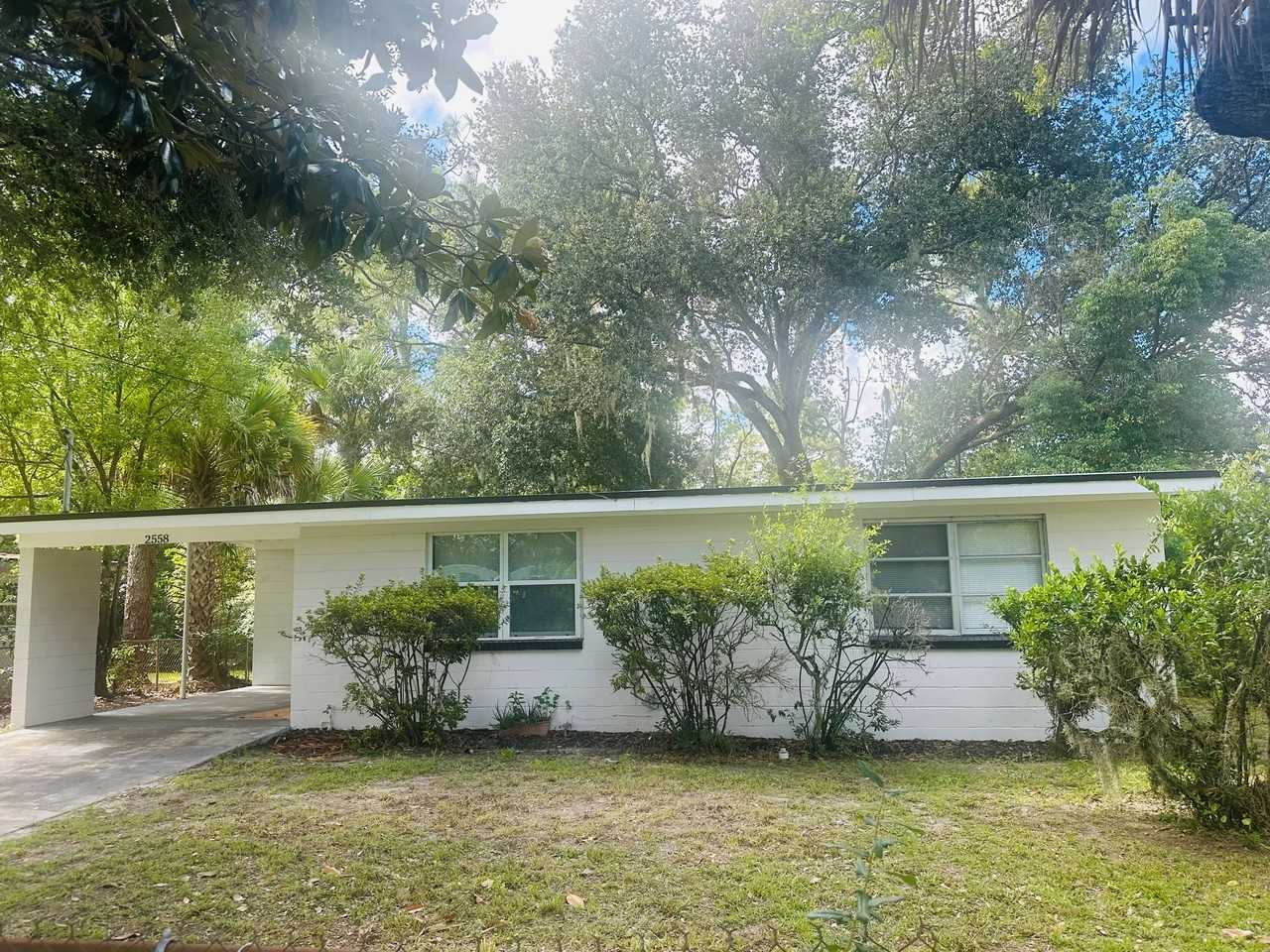 2558 Spirea St - Photo 2 of 20