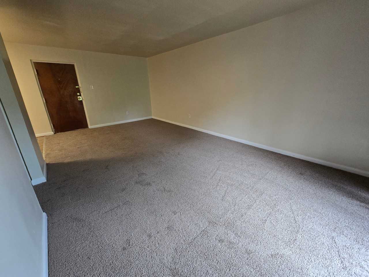 3012 Chamberlayne Ave #204 - Photo 4 of 11