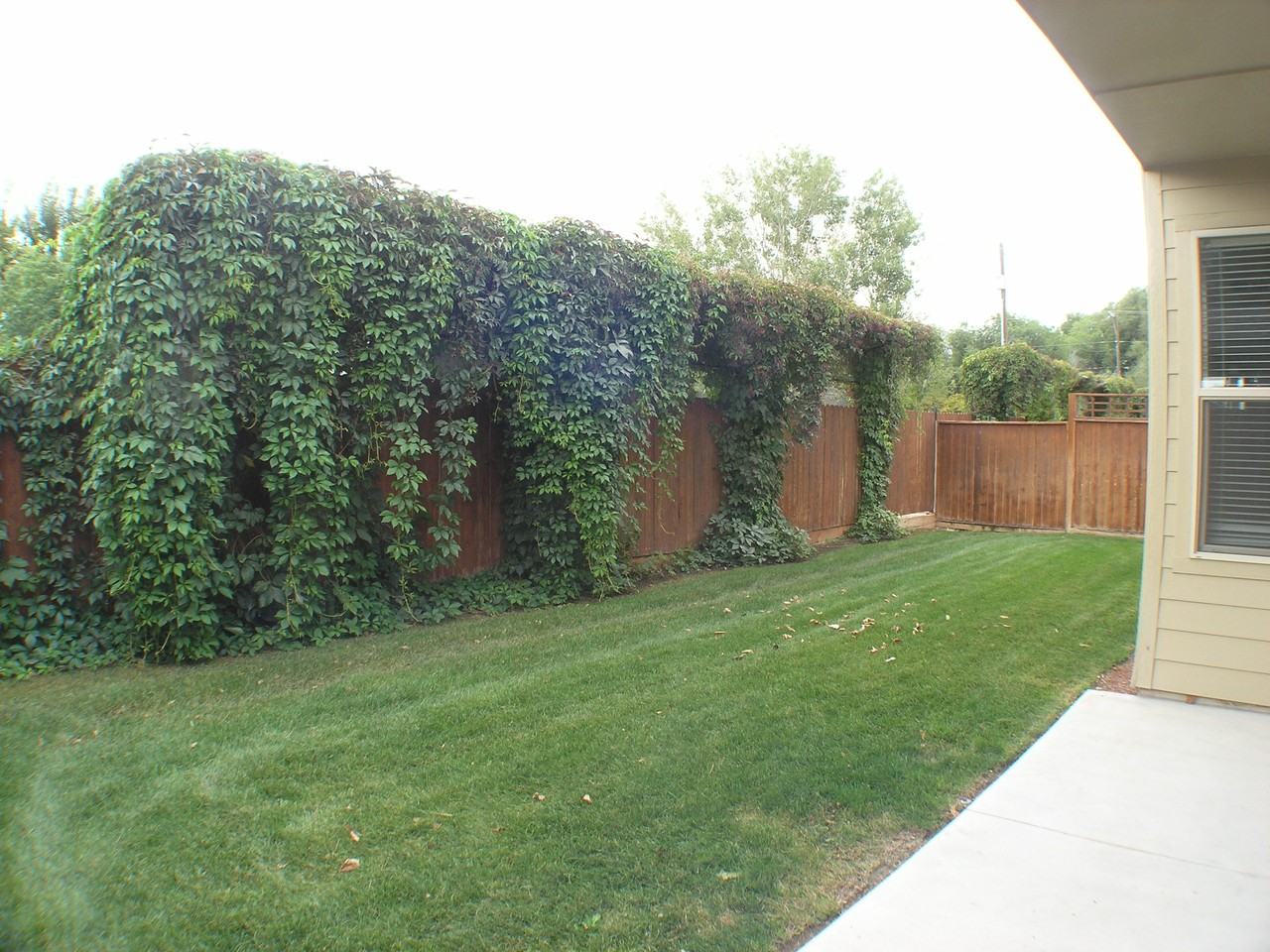 2397 E Hidden Creek St #NA - Photo 4 of 17