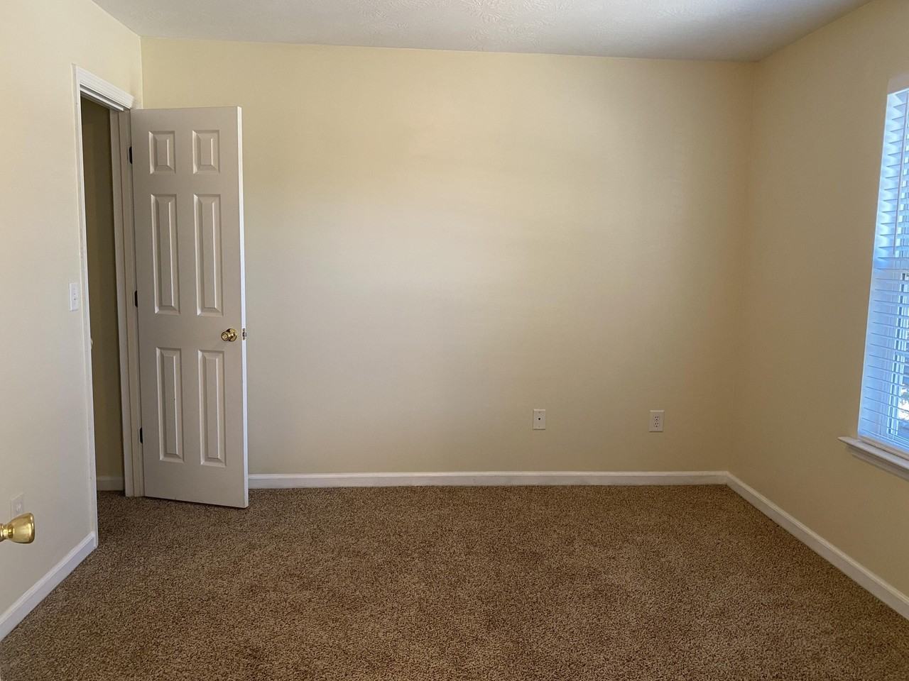 167 Photinia Dr - Photo 5 of 19