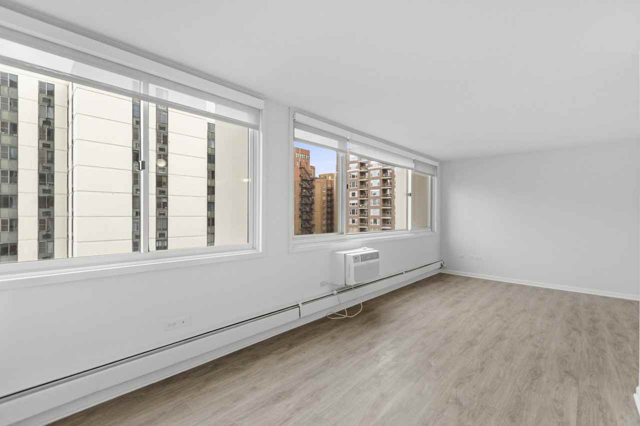 1344 N Dearborn St #14D - Photo 3 of 12
