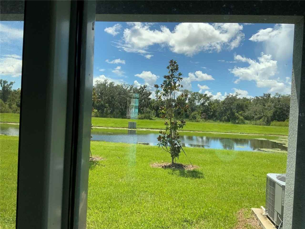 16621 Grotto Steam Pl - Photo 6 of 22
