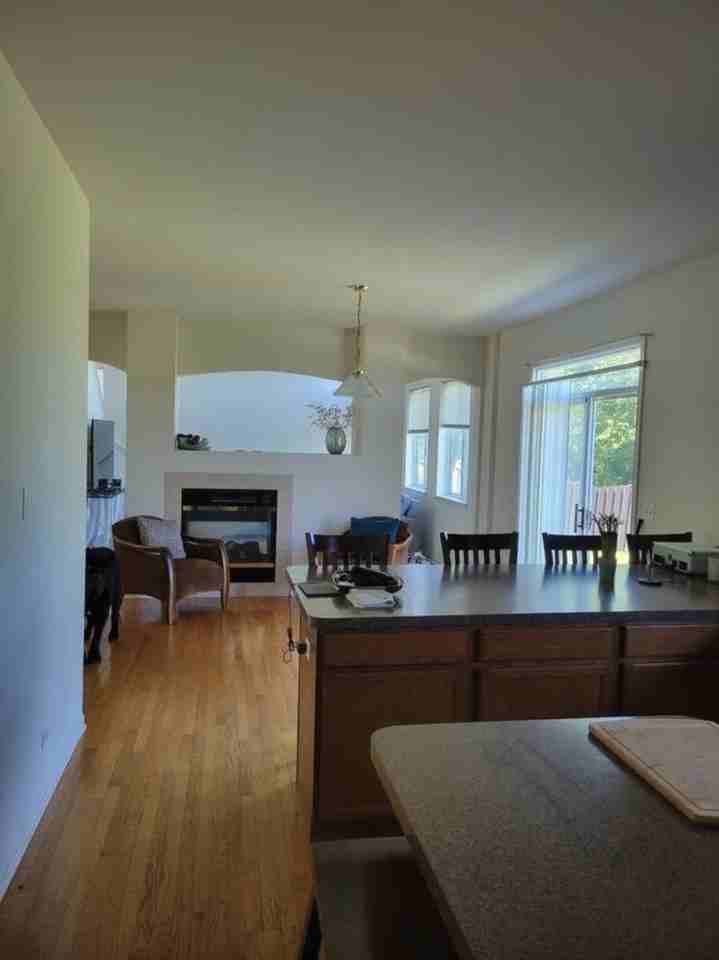 568 Needlegrass Pkwy - Photo 3 of 13