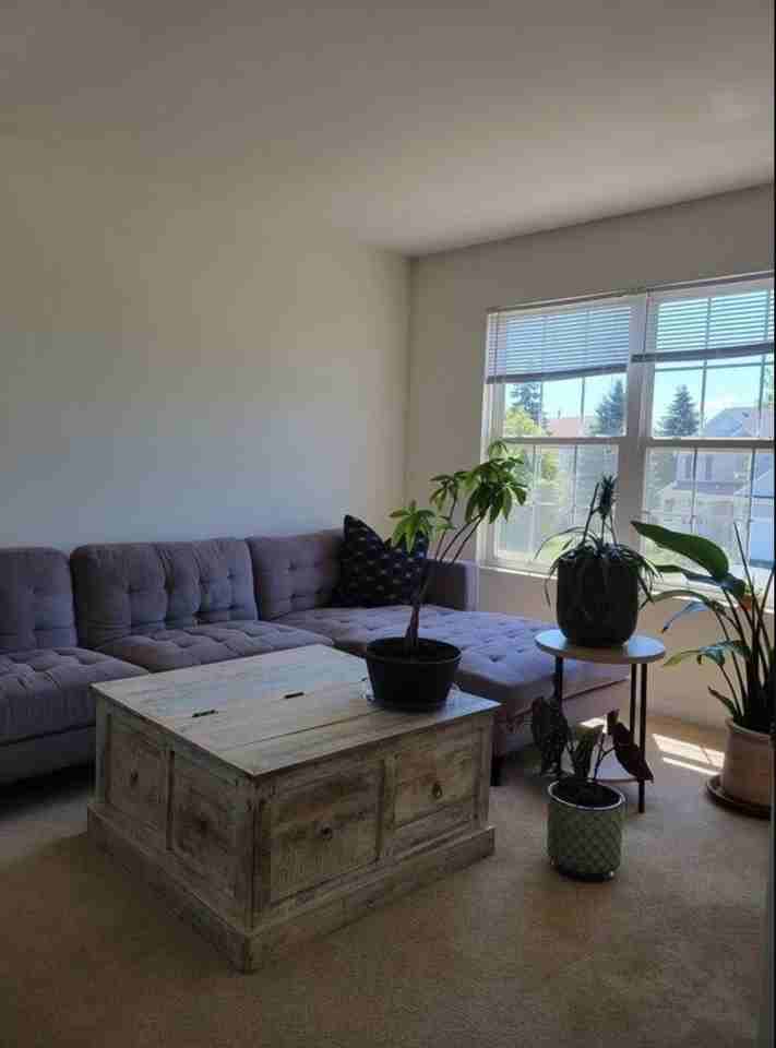568 Needlegrass Pkwy - Photo 5 of 13