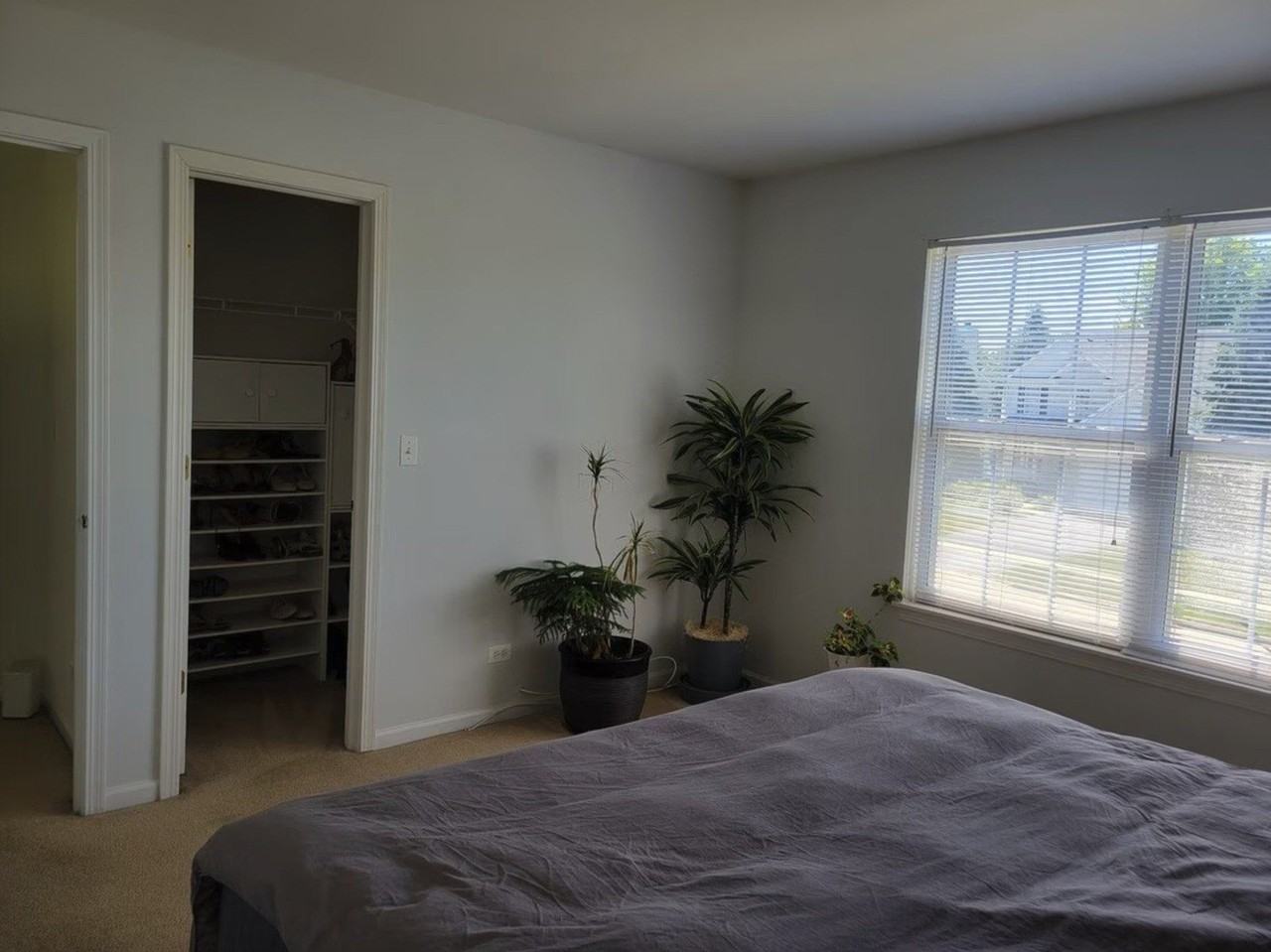 568 Needlegrass Pkwy - Photo 7 of 13