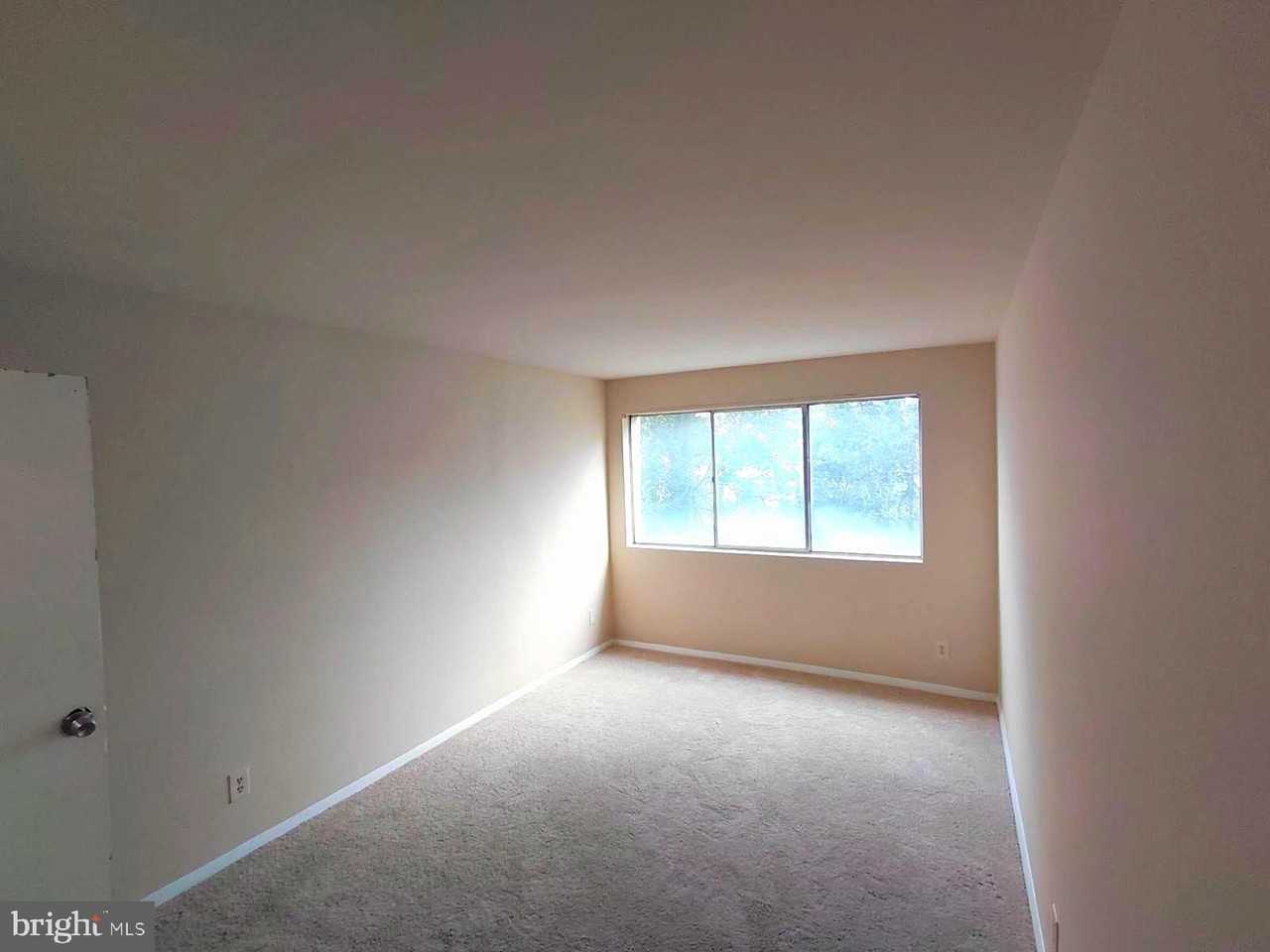 401 N Armistead St #205 - Photo 4 of 7