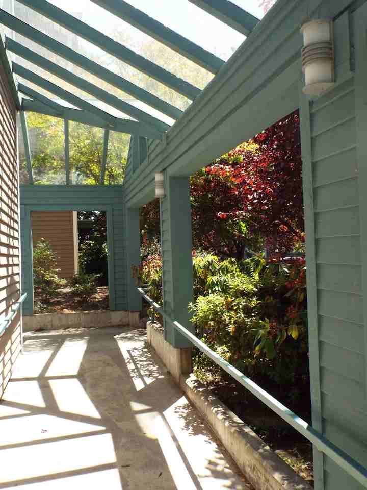 Oswego Apartments - Photo 6 of 50