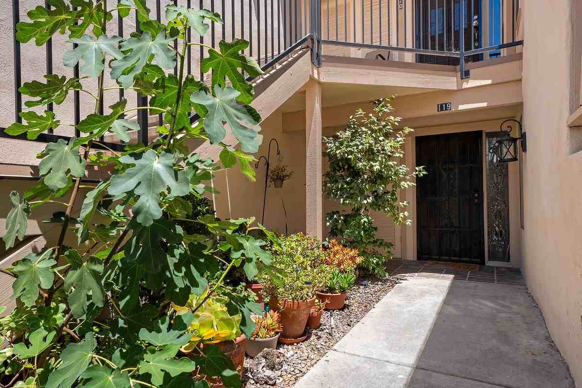 17452 Plaza Animado ##119 - Photo 5 of 39