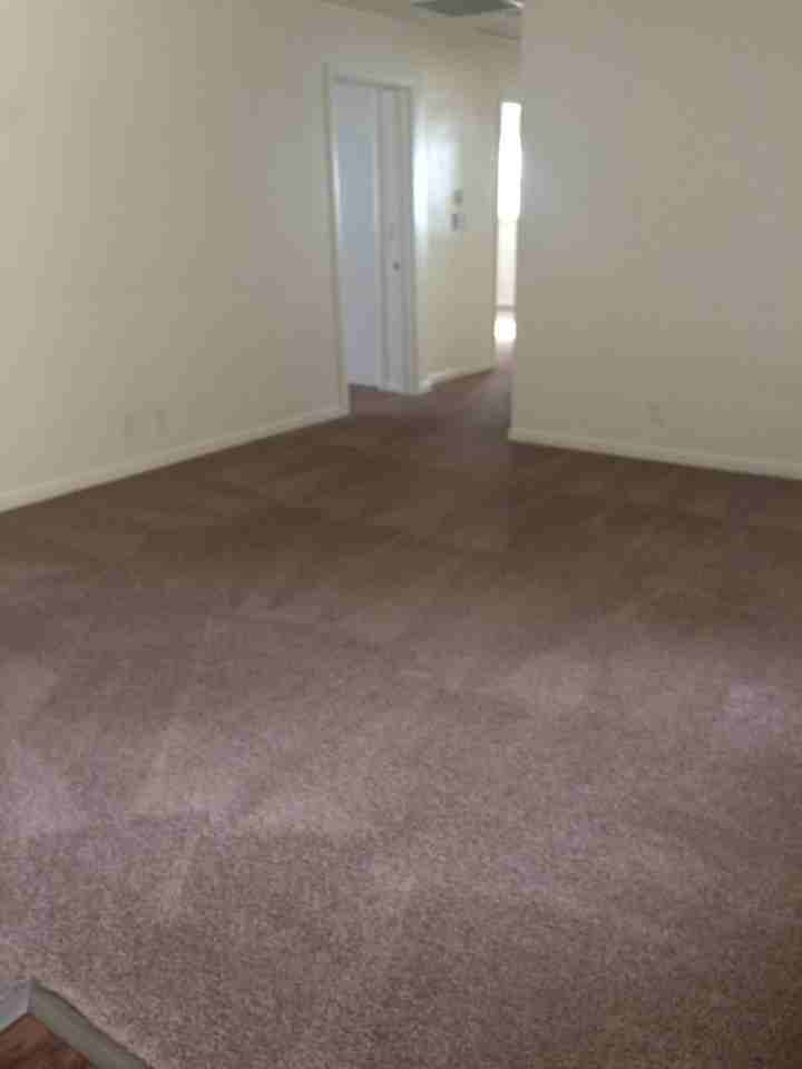 1952 S Wedgewood Ave - Photo 2 of 26