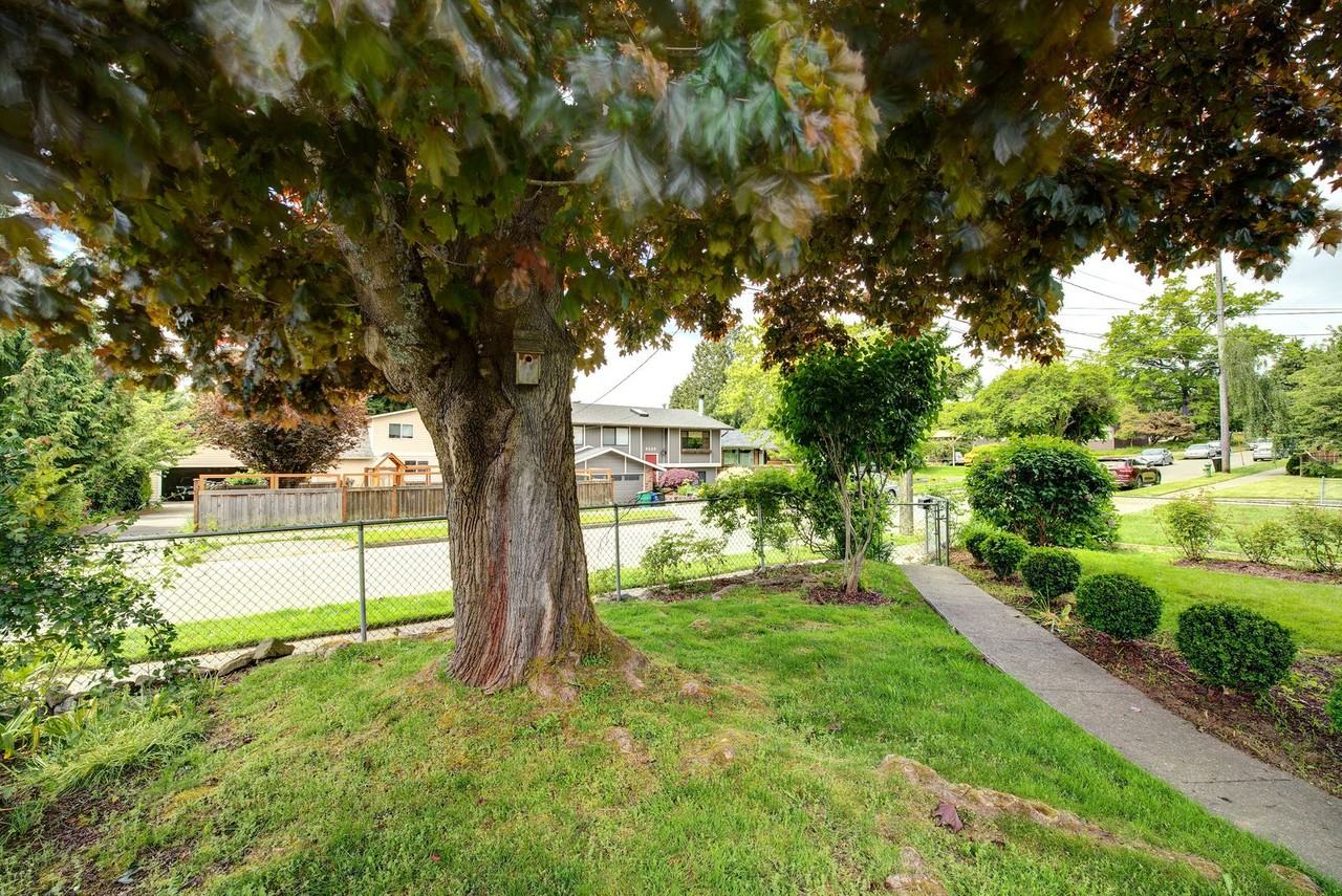 9234 36th Ave Sw - Photo 3 of 18