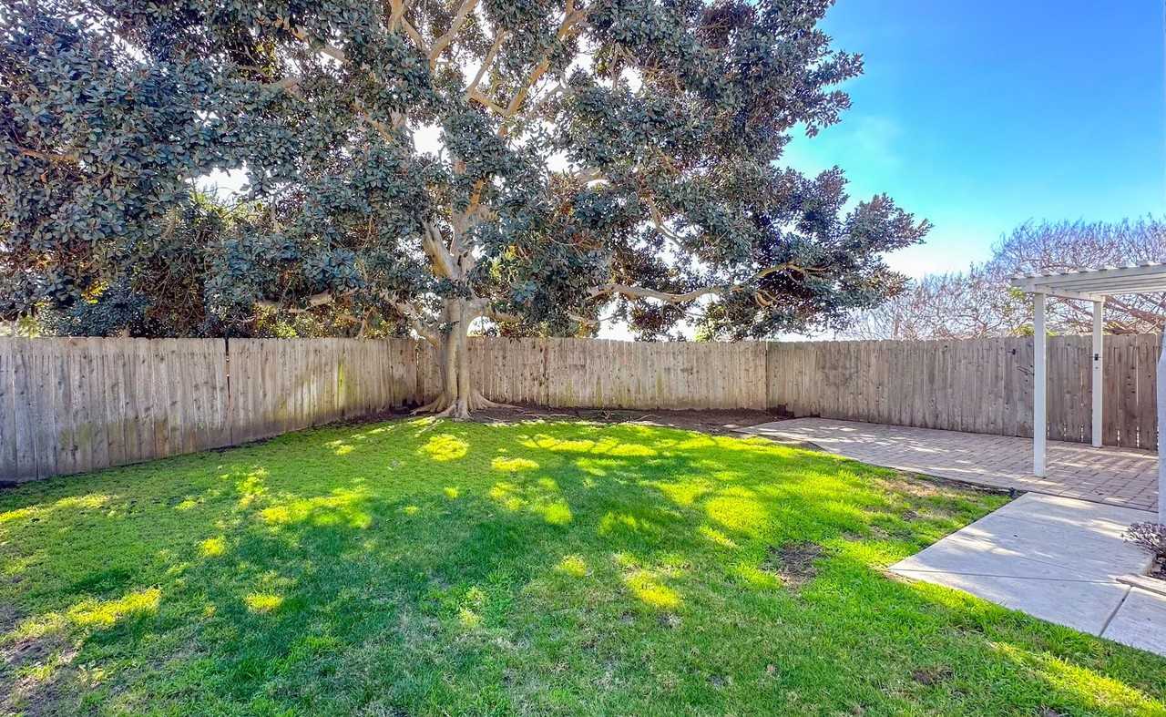 861 Mola Vista Way - Photo 4 of 14