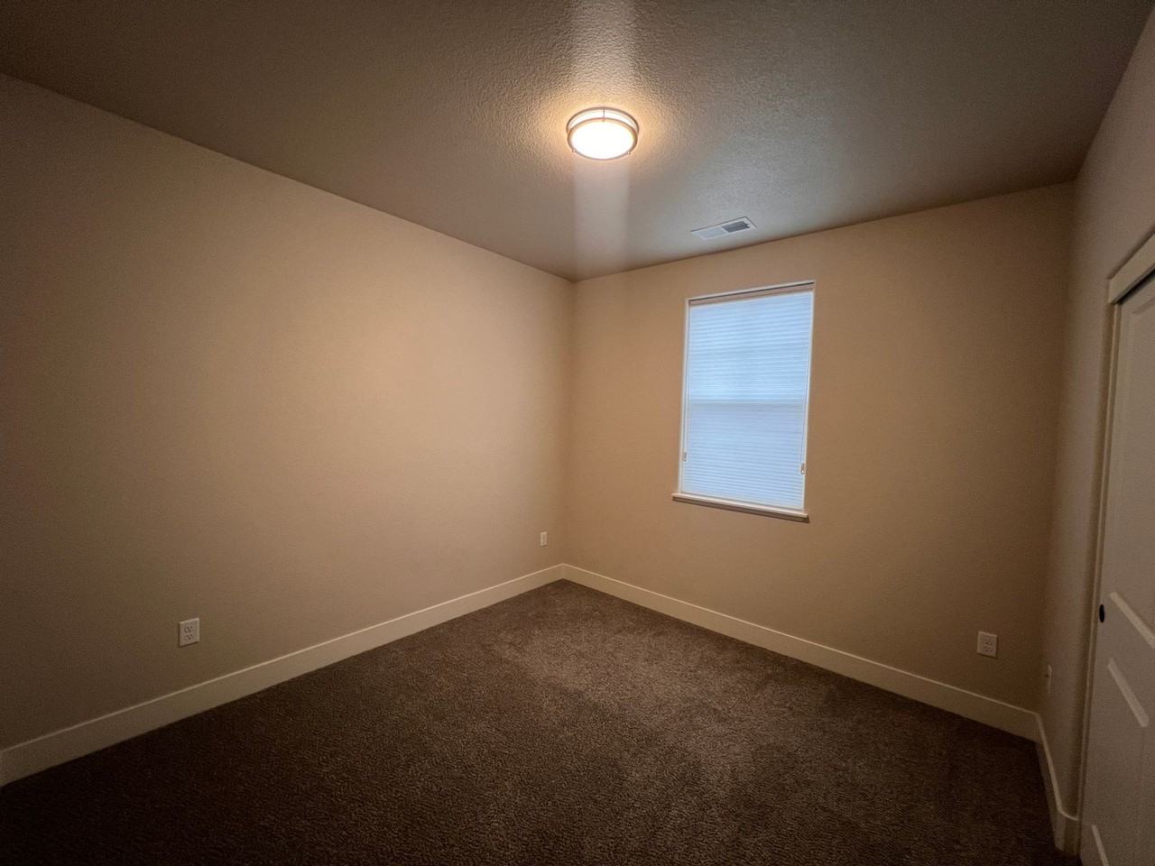 335 Cattail Cir - Photo 3 of 4