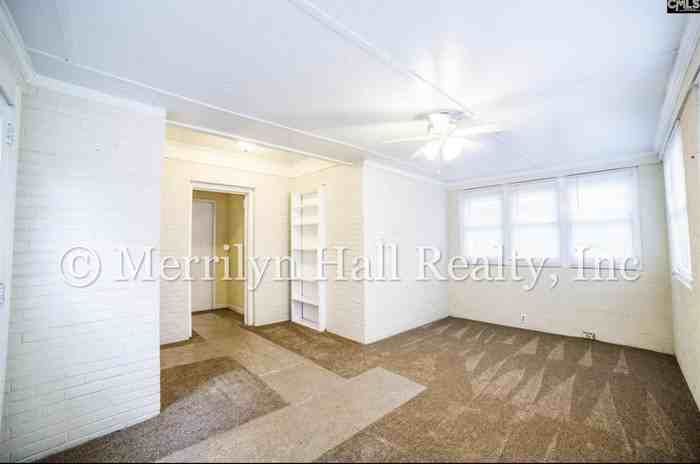 519 Lafayette Ave #B - Photo 3 of 12