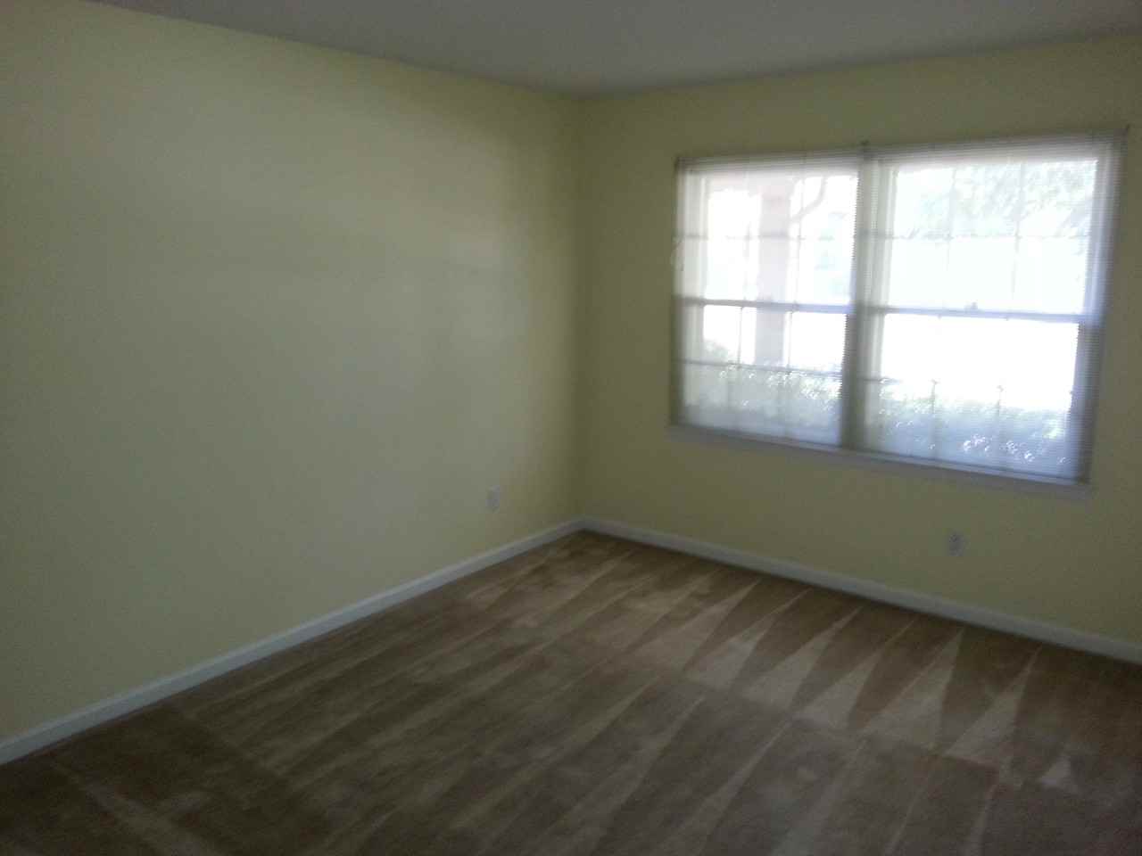4916 Tower Rd #E - Photo 4 of 11
