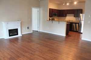 featured image of 1065 W Rustic Lodge Dr #206