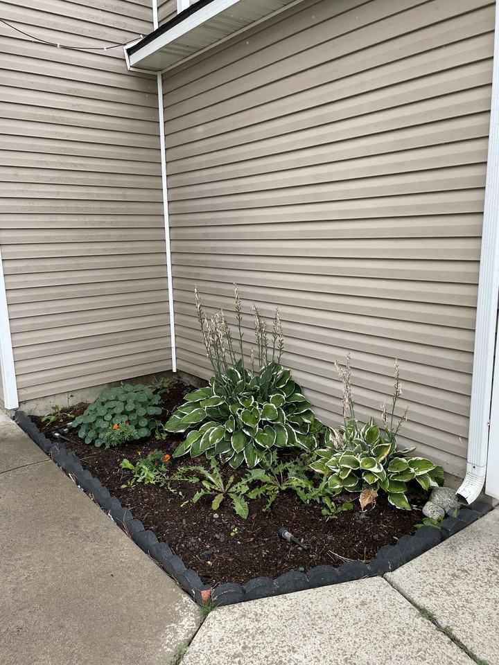 1610 E Coeur D Alene Ave #B - Photo 3 of 13