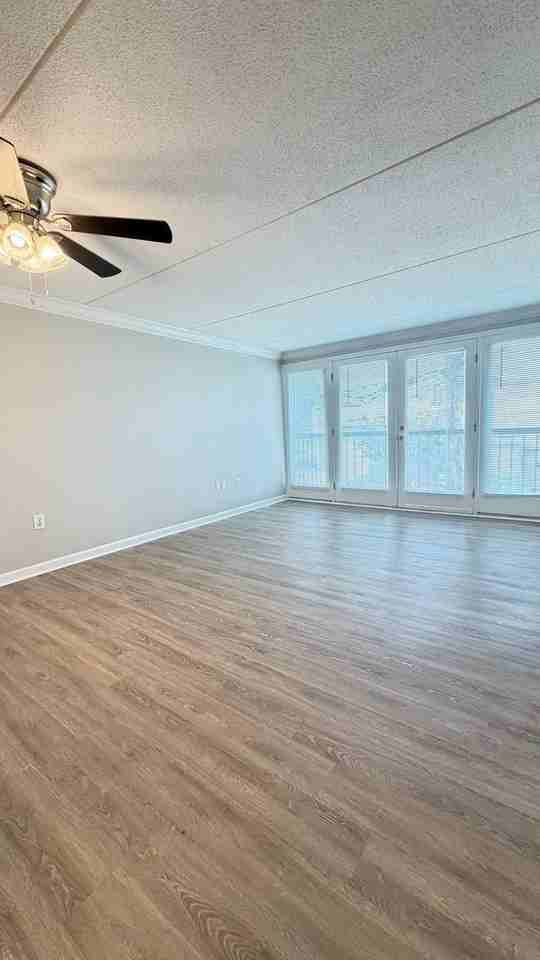 2749 Sullins St #204 - Photo 4 of 21