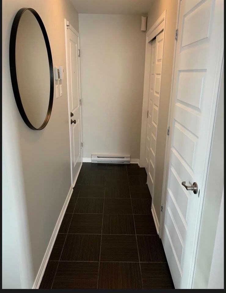290 Rue Jean-Claude-Tremblay ##3 - Photo 3 of 18