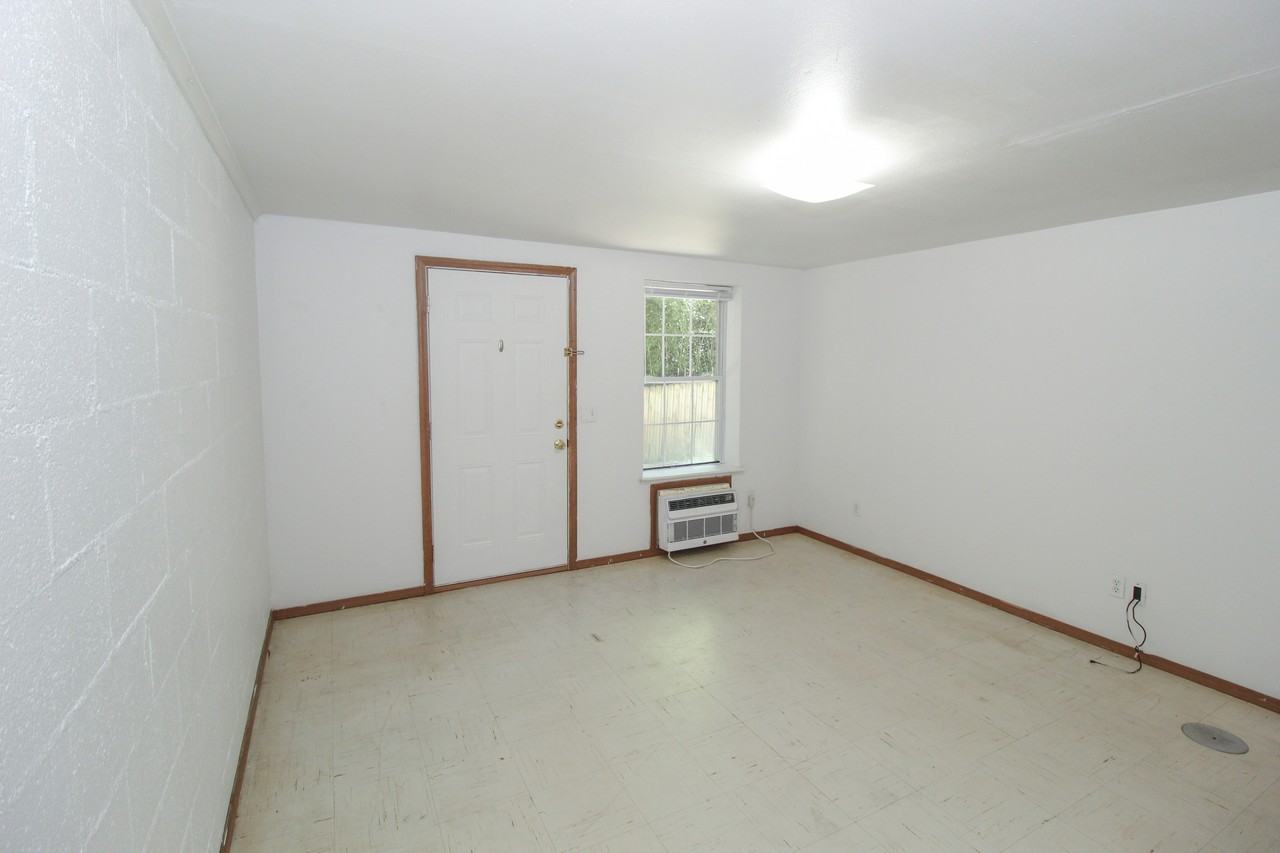 652 W Adams St #652AS - Photo 4 of 11