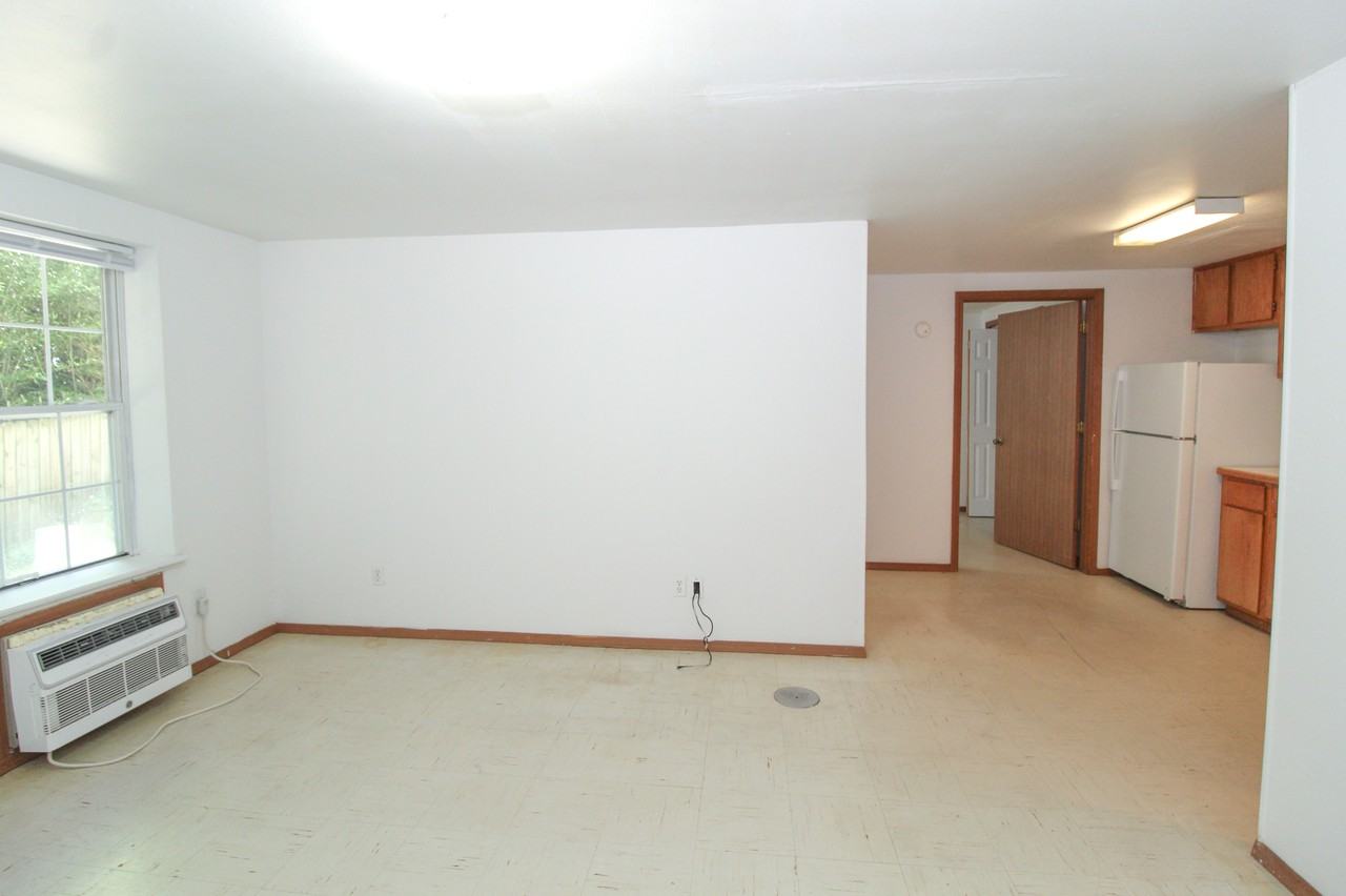 652 W Adams St #652AS - Photo 5 of 11