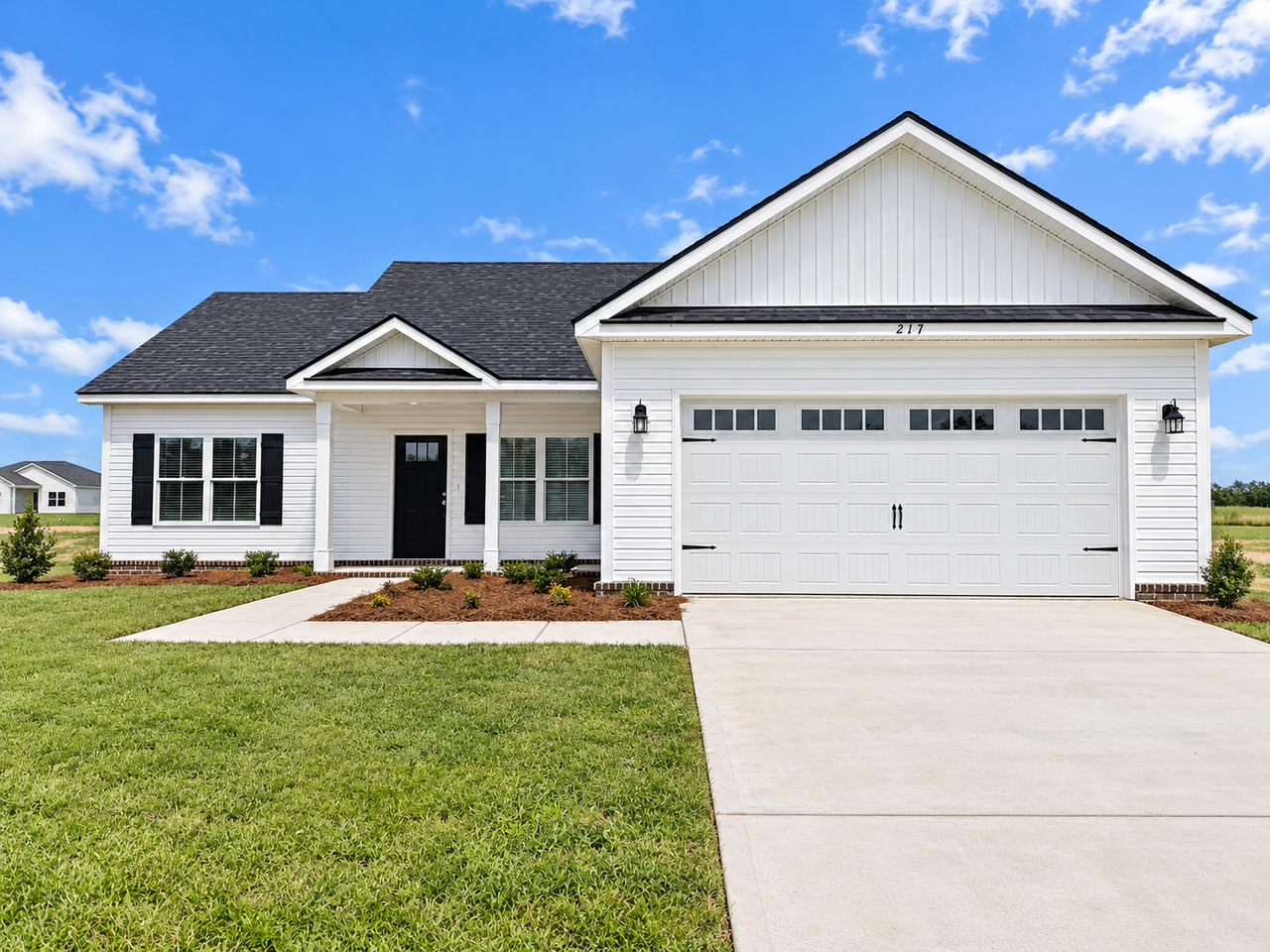 217 Aunt Bee Blvd #1