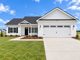 featured image of 217 Aunt Bee Blvd #1