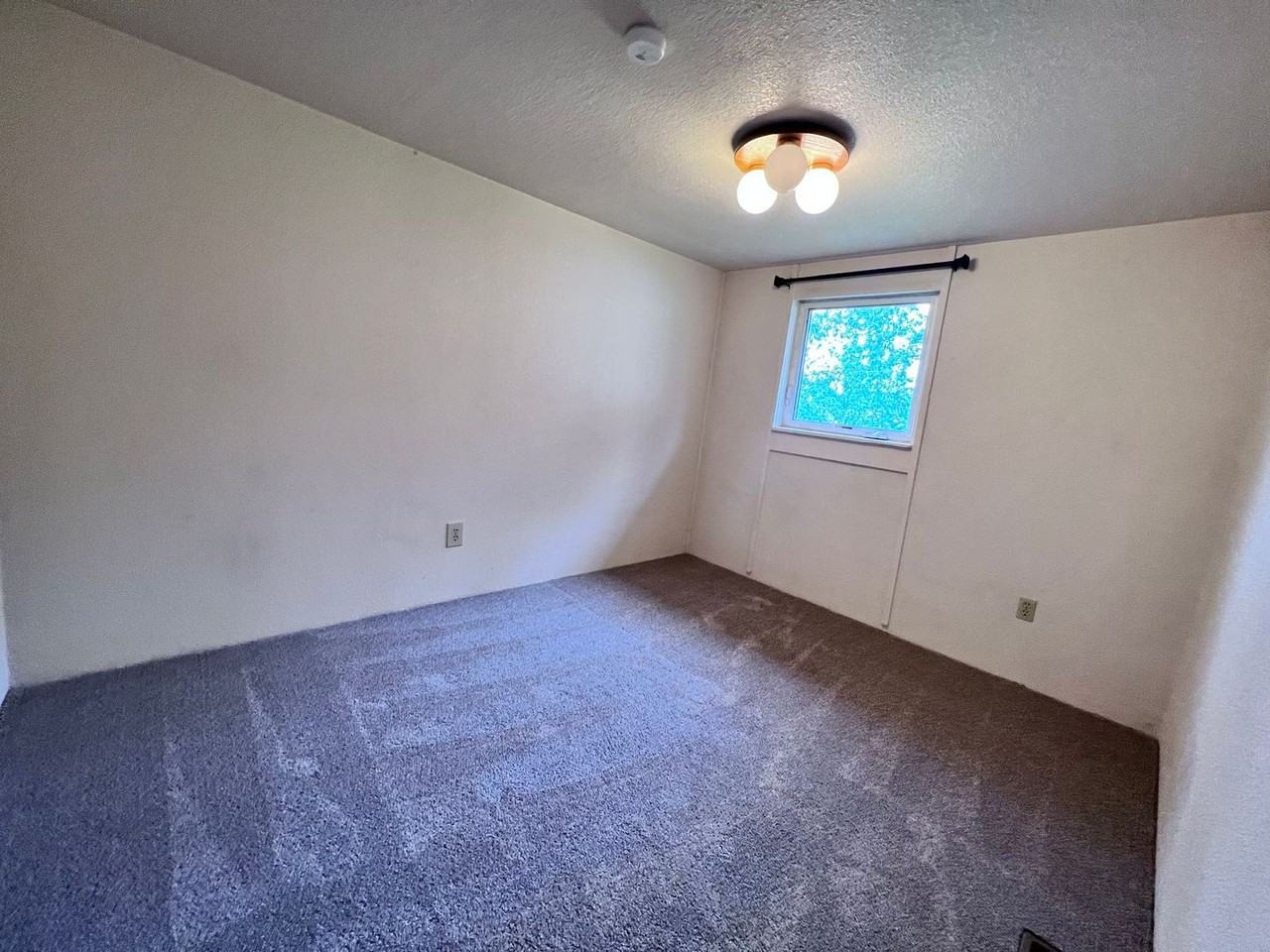 7 Antoinette Ave - Photo 7 of 17