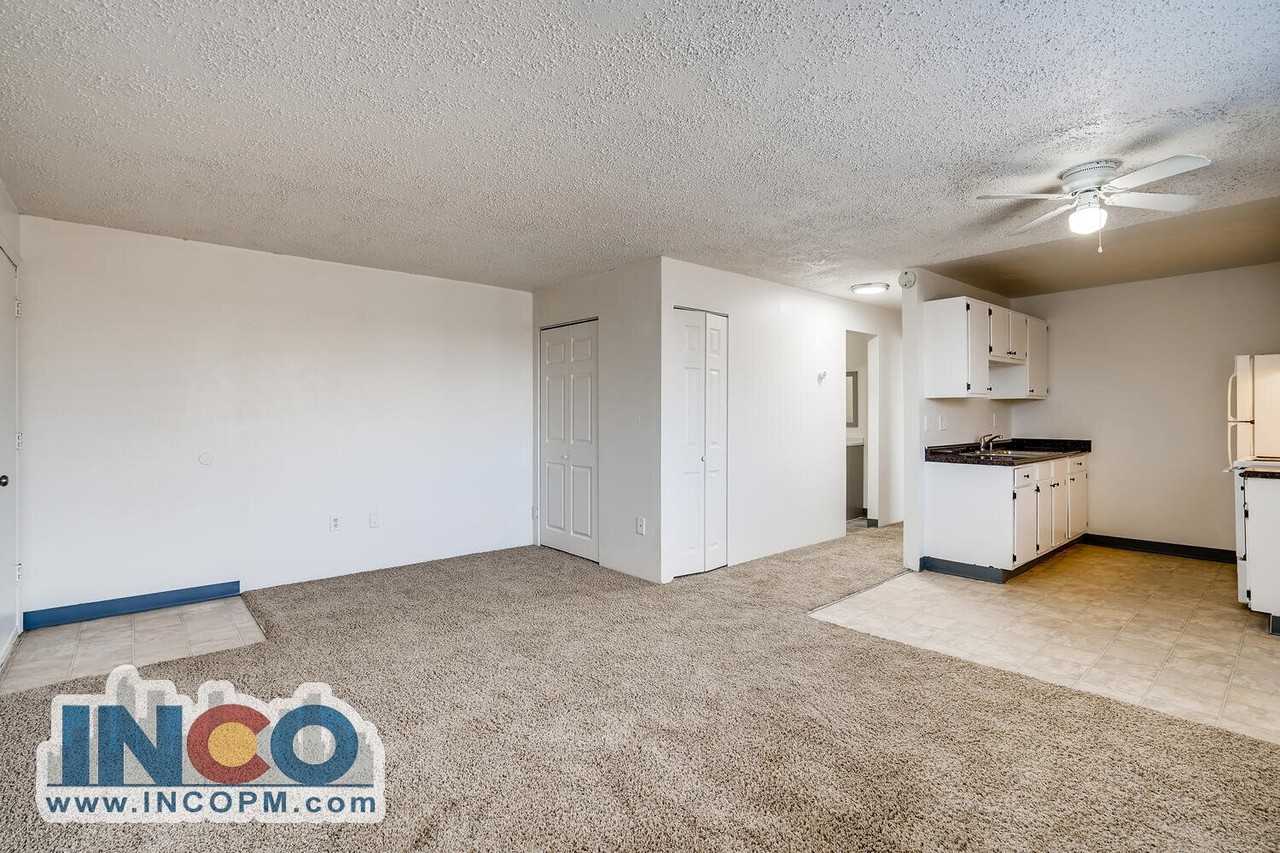 3660 S Lowell Blvd #303 - Photo 4 of 12