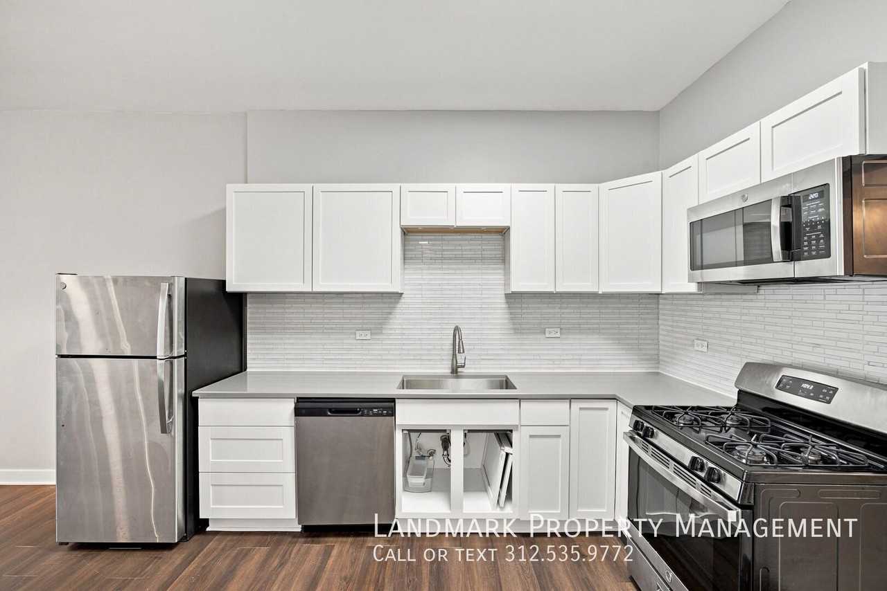 1848 S Blue Island Ave #2F - Photo 2 of 12