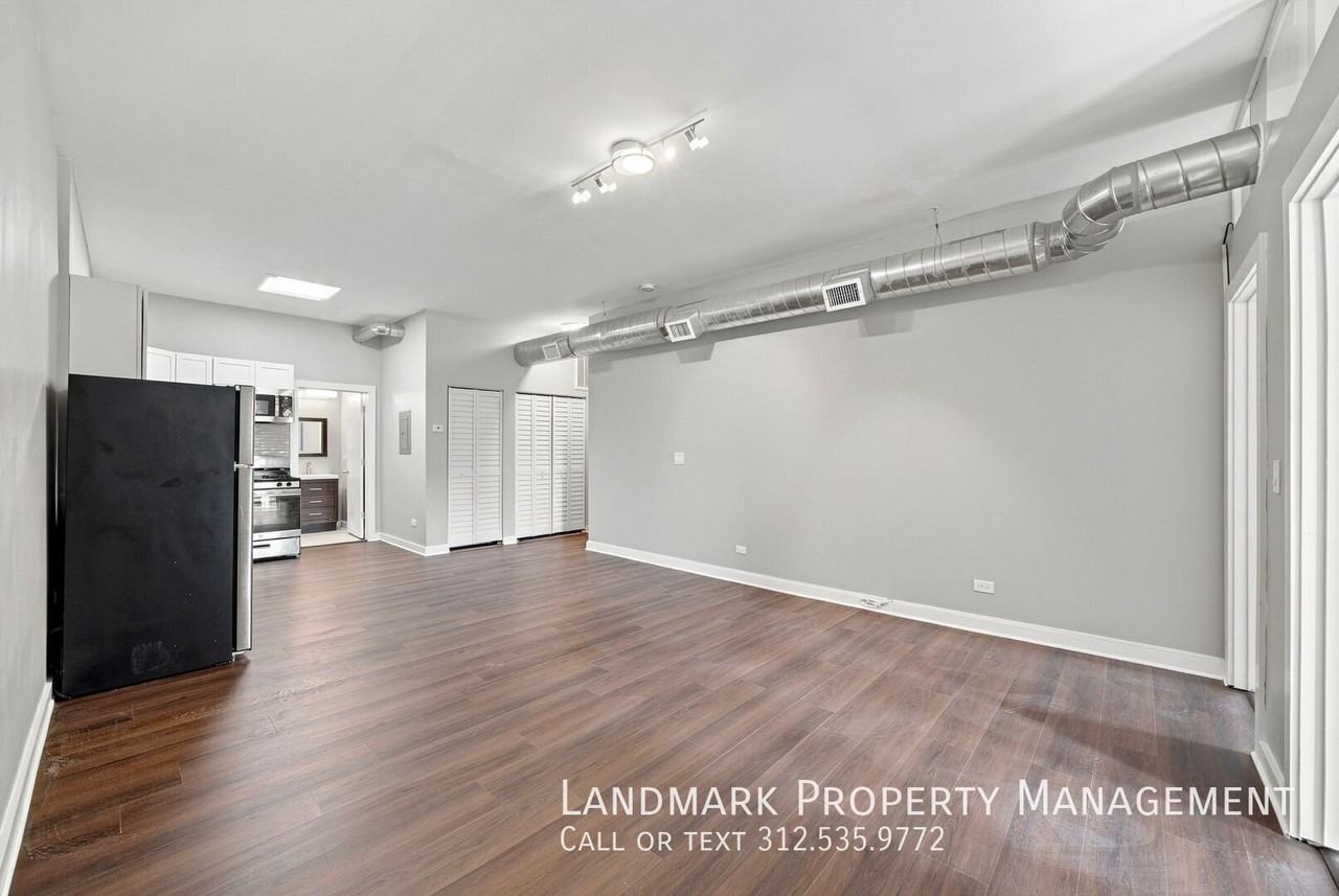 1848 S Blue Island Ave #2F - Photo 4 of 12