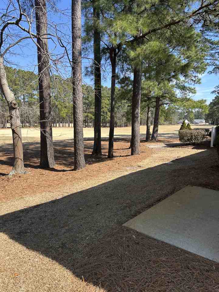 218 Windchime Way - Photo 3 of 23
