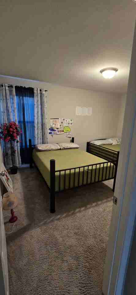 11431 Windy Cedar Ct #NA - Photo 5 of 12