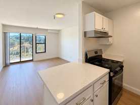 2031 Castro St #12 - Photo 1 of 1