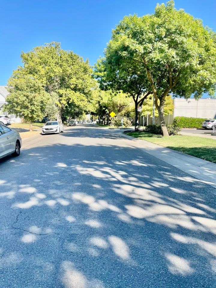 4217 V St - Photo 5 of 17