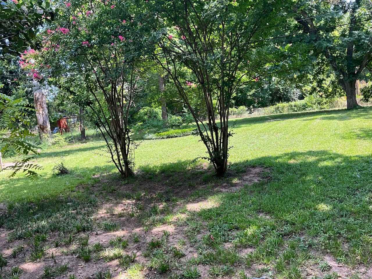 3208 Murphy St - Photo 2 of 6