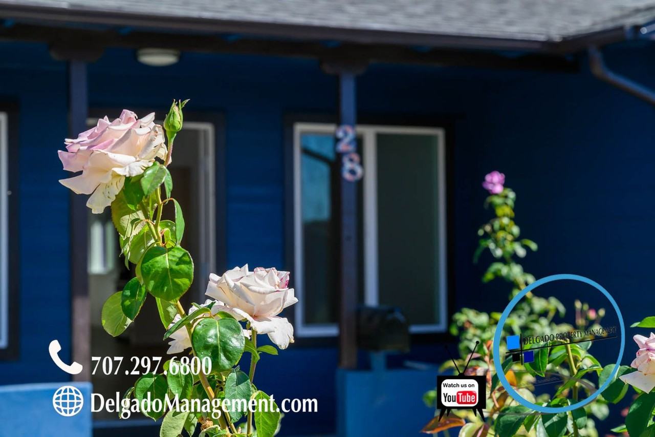 28 Alta Loma - Photo 3 of 28