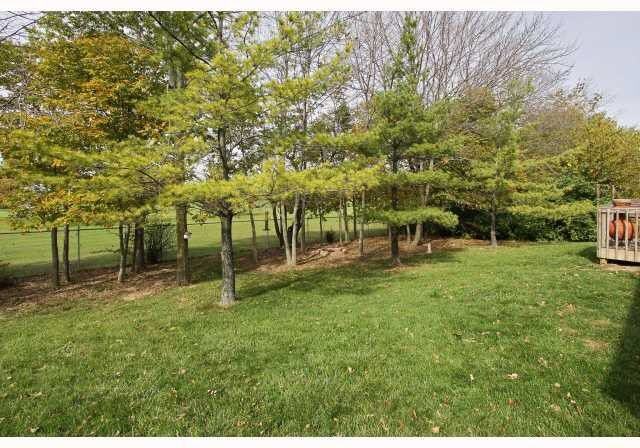 332 Stoneybrook Grove Dr #NA - Photo 3 of 9