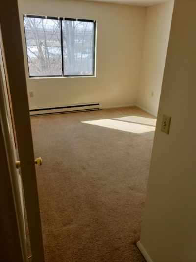 4101 Pine Hollow Dr - Photo 3 of 10