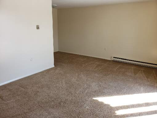 4101 Pine Hollow Dr - Photo 4 of 10