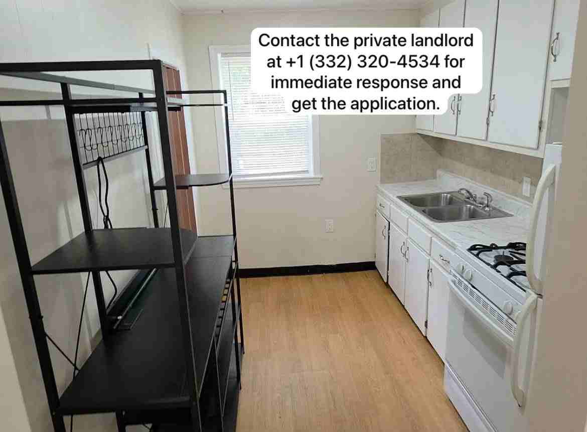 1334 S Main St #2 - Photo 4 of 8