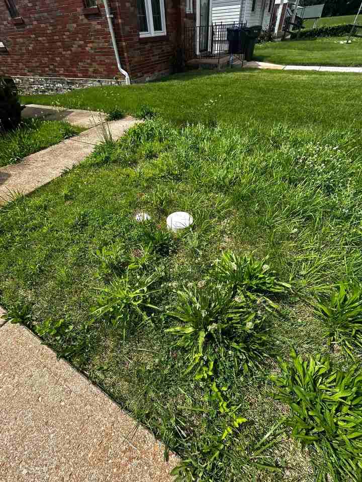 8554 Oriole Ave - Photo 5 of 50