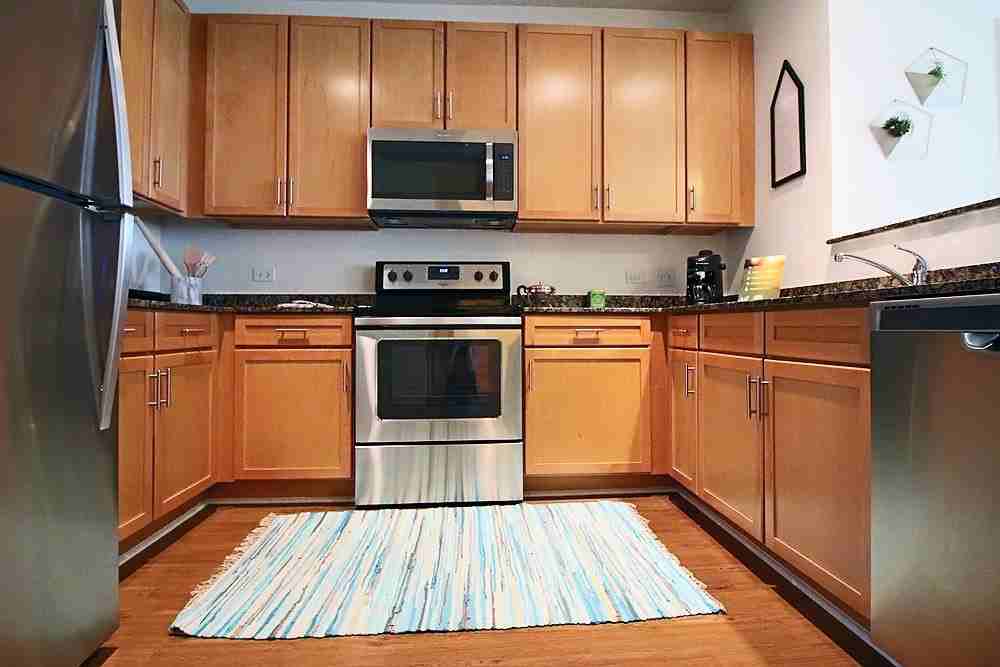 919 S Clark St #204 - Photo 2 of 20