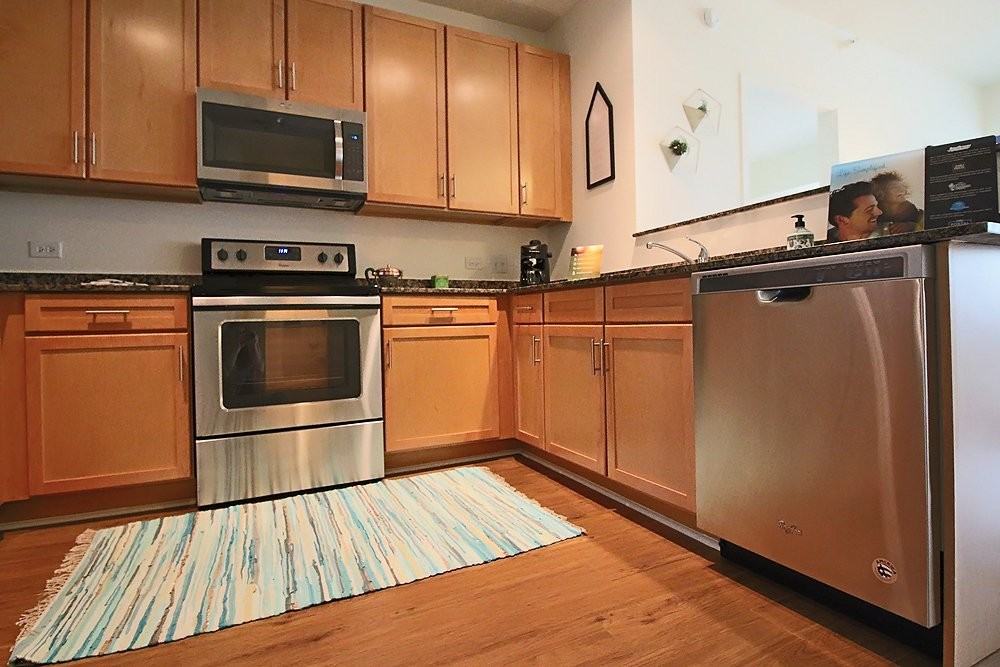 919 S Clark St #204 - Photo 3 of 20