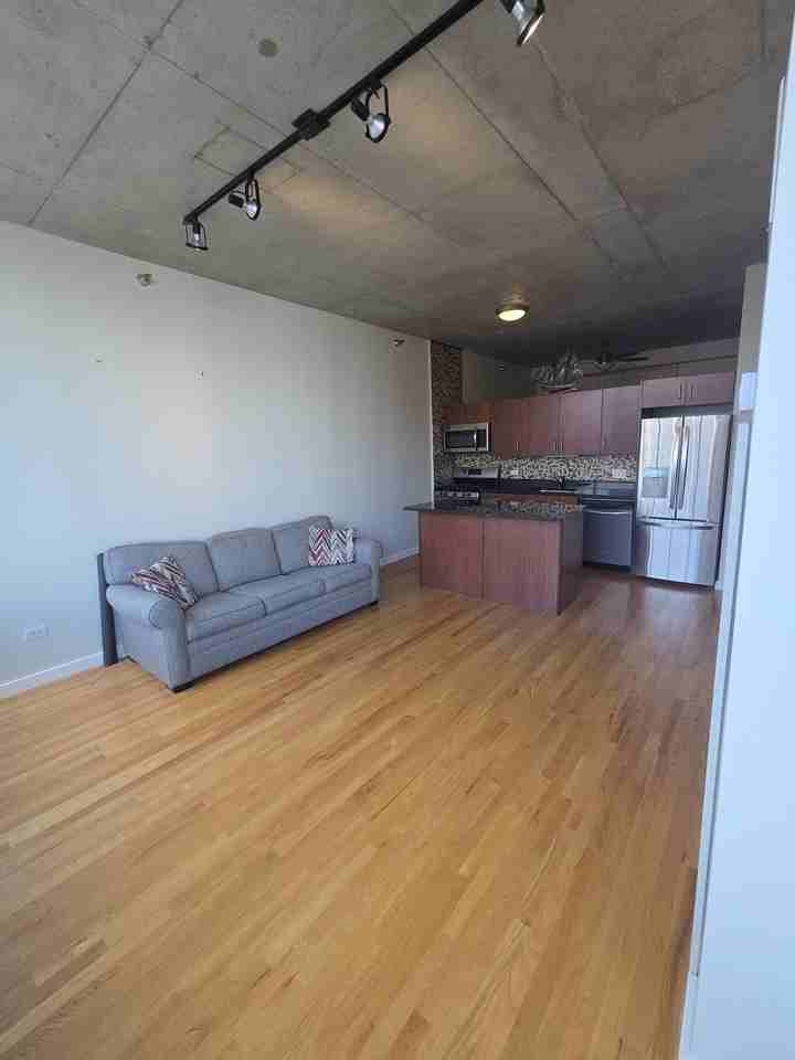 1720 S Michigan Ave #1106 - Photo 2 of 17
